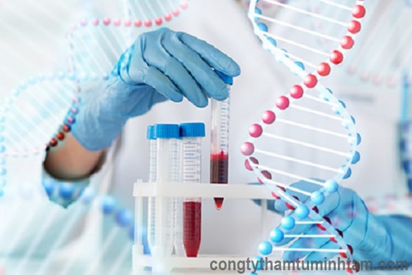 Dịch vụ thám tử giám định ADN uy tín