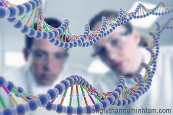 Dịch vụ thám tử giám định ADN